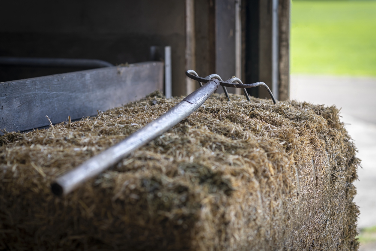 ferme